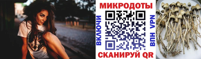 Галлюциногенные грибы ЛСД Сыктывкар